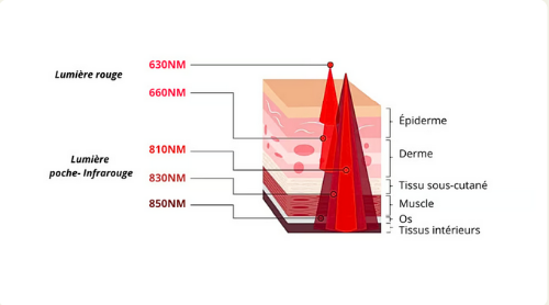 Luminothérapie Leds Rouges pour Tout le Corps